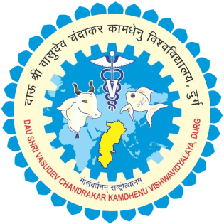 University Logo